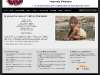 web-design-for-non-profits-3